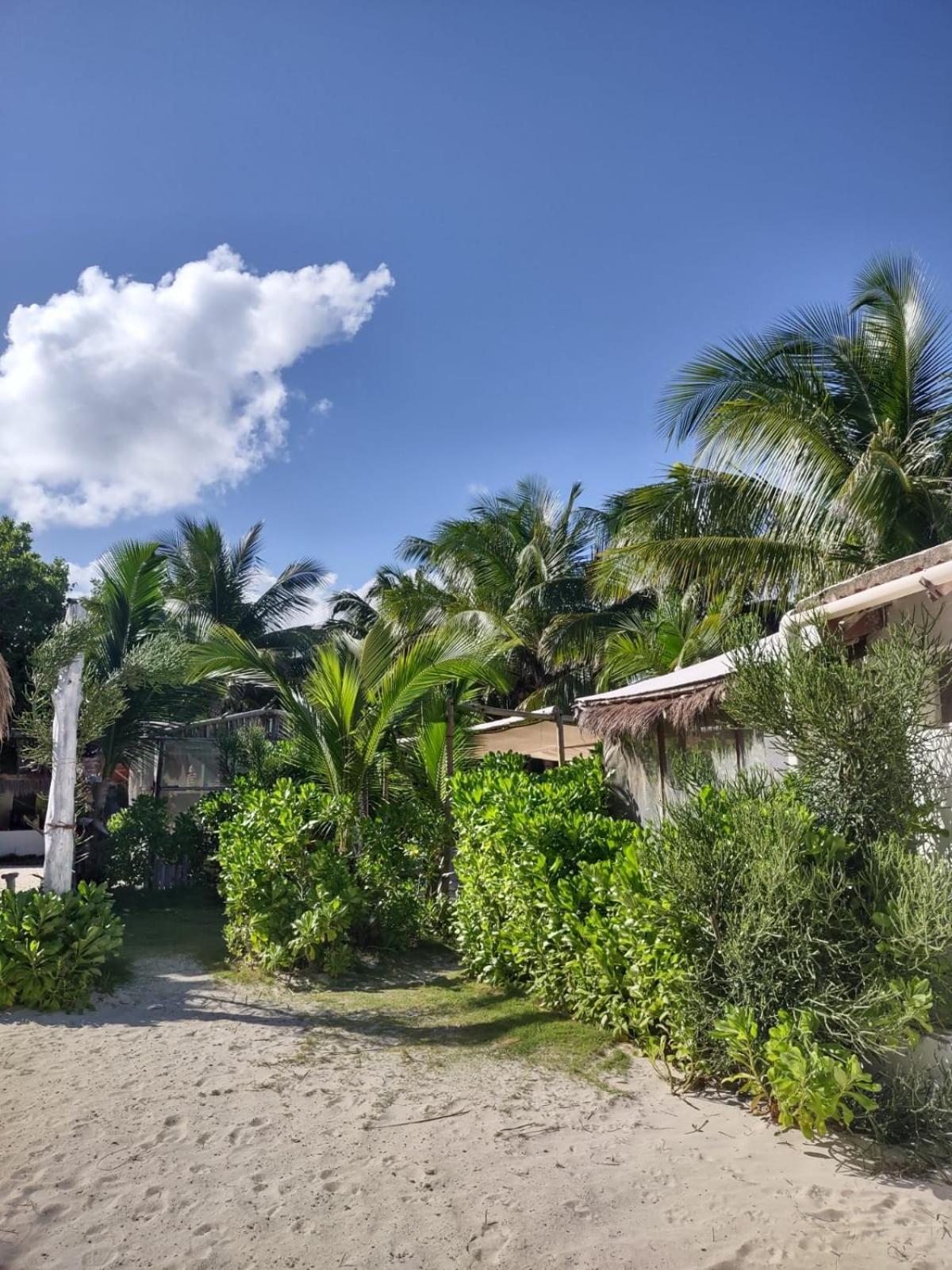Lunazul Eco-Cabana Frente Al Mar Махахуал Екстериор снимка